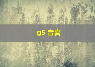 g5 音高